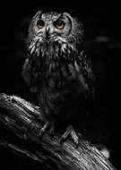 2019-08-08/438b96b655ca026aa8632b88de5bfa26_79a6ff4ec802cdfcf81e260a4dd12c1c