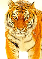 2019-08-08/af7829fe4b20e0170b9a6e60e8951a55_9697c42342632fa763df697b4e87ac00