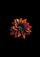 2019-08-09/b088760ba964de96e788849eb36d5577_65e2189419672ba1fa120c93655bb5e6