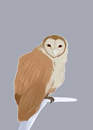 2019-08-10/1333afdd15a3d64a8461c0f47de9875f_5d64e77ecc26a543410838b4ac5adce7