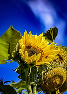 2019-08-10/204a84d9b3961494c1deeb504ba45002_be97a7559c57f6d843cc604af3f25404