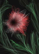 2019-08-10/8e86356251a5a47c84b2dab09bbf218d_74fe9884f3c94e80f6af94ce96910af1