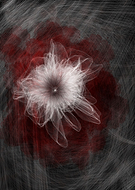 2019-08-10/9b8f8edb5df227f56dc59d79d049ea7a_c7e4891c57973935dc579b0e02afa28c