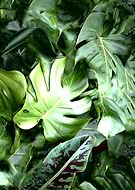 2019-08-13/c7bece57f3c572f7afcd0e2f75311b43_2ecc2aa73f127307a3eb2b4ee9b02b68