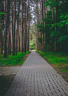 2019-08-13/da5f00aca55f702b7ceccd4bdc6142cc_2ed0d9784790eda90d1ec90075c23358