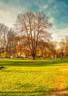 2019-08-14/4cd7a25ea1f049bb96f93be3d39f9129_96bc89916d30609b56d0bc7f984df930