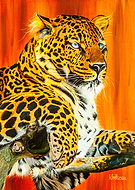 2019-08-15/417392781322ef5ee9760939aea6c7cf_1dc2b34a098a2a636aa412df1c6f468f