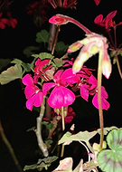 2019-08-15/6bb5a7ca598a6da851b8627c8e39f117_ef46215a541817dffceb20e35b5c221a