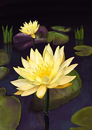 2019-08-15/dacb0d00339659206409eeeb5dd7de0a_31156d1355497fae75be98b72c1e3de1