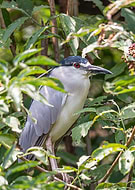 2019-08-15/ef06841af300775bf4f47bf2b208fc07_d504fc92a2767145b6b8b06b8de537ad