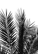 2019-08-16/3c002d50fe720f05b8eeb058d3d217d4_75358b528ddd1d7f5a20f4a94d6320f9