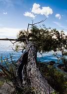 2019-08-16/c217c42315d0af3974c834557242c326_9107b50f03a20b649f8202609fac60df