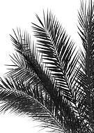 2019-08-16/eeb41a63d42a958efa06a4c0142aa82d_e207fcfb9e7bfedf44897e566bbfb05d