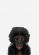 2019-08-18/b3aa70eea07d48b62d308c97c1690087_290f56f9e2a67fe54bb739bc1b05318d