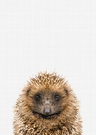 2019-08-18/b9a67507e3a8cd410522c8b75807b2be_17623af40635e2980867d6d07d73162c