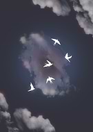 2019-08-19/35d9715792ac5f07193b6fd13557c086_48d9e9e07b8136c614df7ef8a953a687