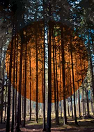 2019-08-19/7ee3674a04a3a65c8490e5a2585e637a_536351e1aca58eebb95d9cc6fb3142b0