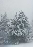 2019-08-19/c8ff39467cfda25dc0234d8ef1a782ad_917dea8e67ded5baba9b8a1eda47a8c6