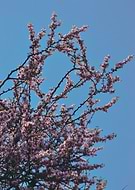 2019-08-20/3818a39c9ffe98782e52a64c456a6289_74f1be37ef84c45e69253cc9250ea177