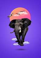 2019-08-22/9f66941d0cc5390a77dc6886ba22f9f1_514d05db9b079bdd2deeb02b71b07d58