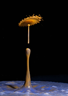 2019-08-23/f59ce6372f834d688ebcbd72c5723103_5c343847ba50785b284efa792d1c1338