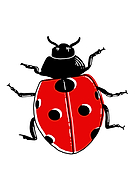 2019-08-24/243d4615598a6485723a2821108cb20d_4ee3391019a7f72729c8e577cbecdb86