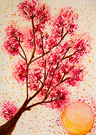 2019-08-24/b52bc03c7c335fe98377fae46fd02c8f_7cabb5a0bc7e959b25208b06da42a2de