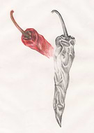 2019-08-25/bbb9169800d1e66292287c29da4cd39b_55f048c2b1ca2cdfd367101e171b0127