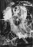 2019-08-26/c532d17ffca8a28ef0fd0f2122b158d1_6193640db3b21f9fe1fe6d713b712935