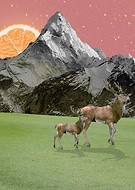 2019-08-28/e97f41b93aece2d880ef75cf74ba79a0_25aad973a373c89ee0aab27f1269c38c