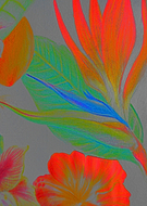 2019-08-29/07273fc09e02111d276b577dc430fa30_8e4a86f38448dd134e598bc4e3b0a816