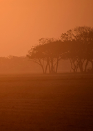 2019-08-29/384f8aa45d5dfe114e38ef968b40efe1_5eea1043915fda6dc8398696f2a0e6cf