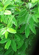 2019-08-29/b0c7175f8dca7e19d217fe5fb2bcca43_bf7d4445e6948c540166eb954157b08f