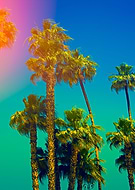 2019-08-29/ff24c387d6b5b8327bbb1d7084292577_6123311931adc799db02a10e5a4e1654