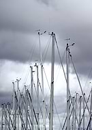 2019-08-30/556fc02577e07e760a125d2bbcf167a6_834b992df3f647d50cd78c2fddaa10bb