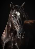 2019-08-30/8446ae5fcd6019f4013404a9bdffc04d_3decdcc64936063c70c80ba04d80ca65