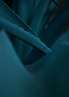 2019-08-31/115d0ab24fea9c8f804c4b5a7cafad20_5b8564a2e3322de6e00f2d4de2a7b5d6