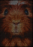 2019-09-01/003fdce9748cf020d78584923a5f7aee_358f4dd4af42324d5c9c51e47283949d