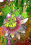 2019-09-02/4323690a1898f55c1f02b99d368d5a12_02565f99f9520ca5115e7be017c98e18