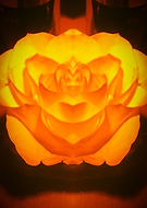 2019-09-02/663c6f98847f4659b58c52bf815eee89_00494b24790acd26a4578872490516dc