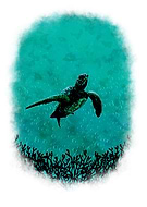 2019-09-04/42acdccefcc0dd21e8ebdfa71423c4c6_d925718786039efa91527cbb71a3dceb