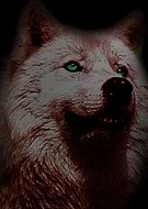 2019-09-04/b80170e4cafe20903d2056ded1a6f906_c3398f8c3f8e7f217143e2b41e0d8701