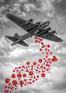 2019-09-06/d6cb28eec118519925468fa31005dd10_451401a12900ce90686e9f3f292197d8