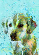 2019-09-07/07ee3c29f113b23da6d82b67f9e032a2_45753dc397701cba2ce987a1927d002d