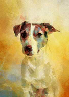 2019-09-07/3b3b55ca30fe95ec89f3b77dc327f994_401f76b6b52f3f55cff8a6f82ed08d50