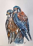 2019-09-07/3c9e0493cc898e308fc5b22f704beacb_6815e833d5ad0e6496f8bb9f7310c004