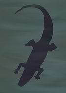 2019-09-07/919a8321e49539d820c6727ec759c5ea_33cf8e85a66a57ad456515a27083bcc9