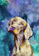 2019-09-07/b6ee25c08157cb173f2b744f8b588bb9_b2580b054f9c1e416a364219dbbbc2cc