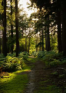 2019-09-08/471a53aa9517bc049071b693853b8112_15eda21bd61fef92ecff033f1257e1b1