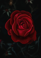 2019-09-08/a6b186407c49e8f6eeeaf8faad16f8ce_a65c43a76e6990ca86e45baecb154131